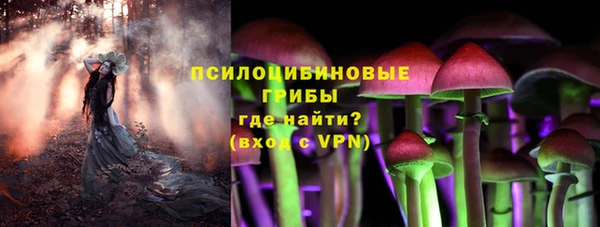 ешки Балахна