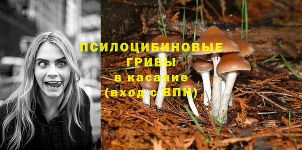 спиды Арсеньев