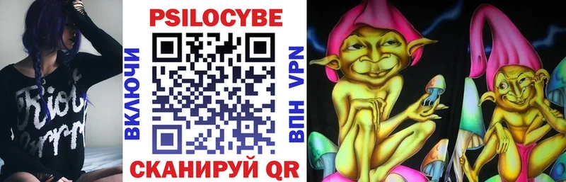 Купить  Руза  Псилоцибиновые грибы Psilocybine cubensis 