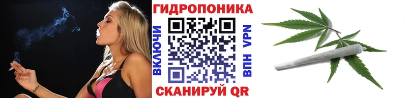 Конопля SATIVA & INDICA Руза